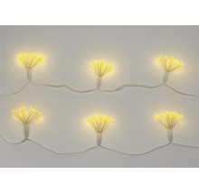Dekorative Lichterkette mit LED-Leuchten in Blütenform