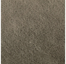 Nahaufnahme eines Teppichs mit kurzem Flor