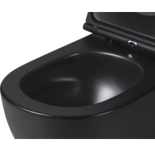 Wand-Tiefspül-WC mit Spülrand und WC-Sitz