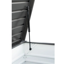 Detailansicht einer geöffneten Gerätebox mit Gasdruckfeder