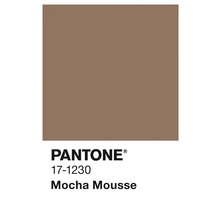Pantone 17-1230 Mocha Mousse Farbfeld