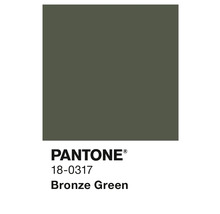 Pantone 18-0317 Bronze Green Farbfeld