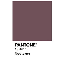 Pantone 18-1614 Nocturne Farbfeld