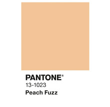 Pantone 13-1023 Peach Fuzz Farbfeld