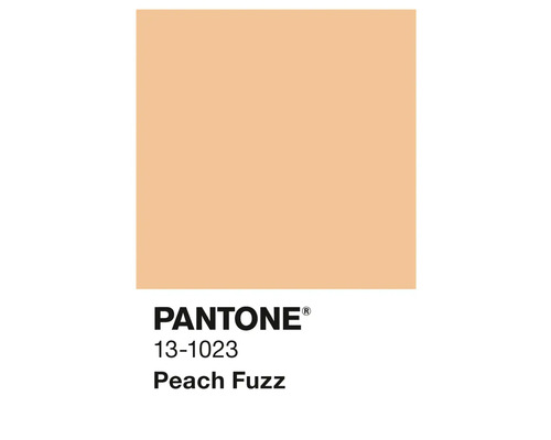 Pantone 13-1023 Peach Fuzz Farbfeld