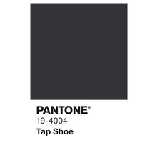 Pantone 19-4004 Farbton Farbfeld