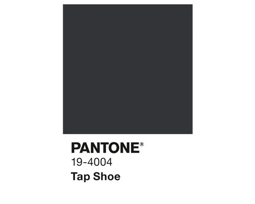 Pantone 19-4004 Farbton Farbfeld