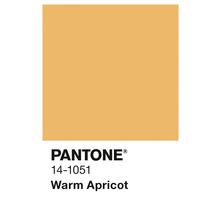 Pantone Farbe 14-1051 Warm Apricot
