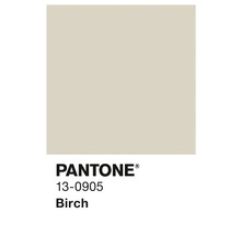 Pantone 13-0905 Birke Farbfeld