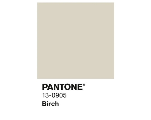 Pantone 13-0905 Birke Farbfeld