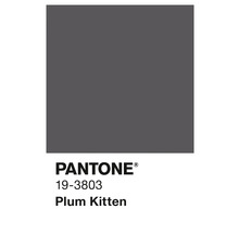 Pantone Farbe 19-3803 Plum Kitten