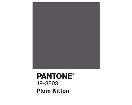 Pantone Farbe 19-3803 Plum Kitten
