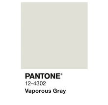 Pantone 12-4302 Vaporous Gray Farbfeld