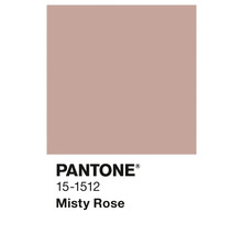 Pantone 15-1512 Misty Rose Farbmuster