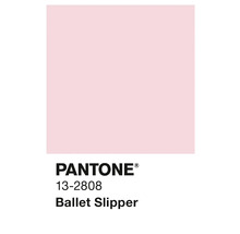 Pantone 13-2808 Ballet Slipper Farbfeld