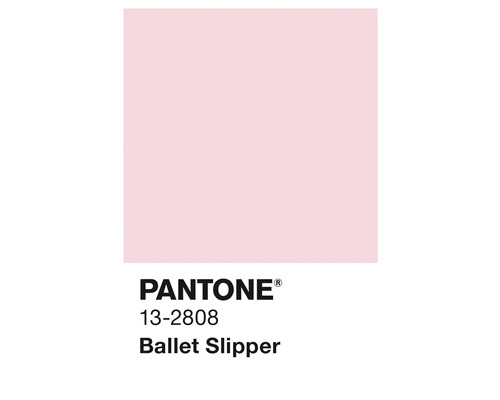 Pantone 13-2808 Ballet Slipper Farbfeld