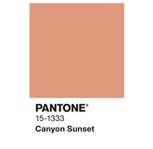 Pantone Farbfeld 15-1333 Canyon Sunset