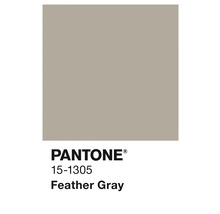 Pantone Farbe 15-1305 Feather Gray