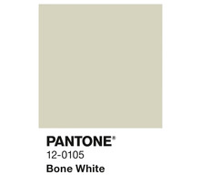 Pantone Farbe 12-0105 Bone White