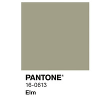 Pantone Farbe 16-0613 Elm