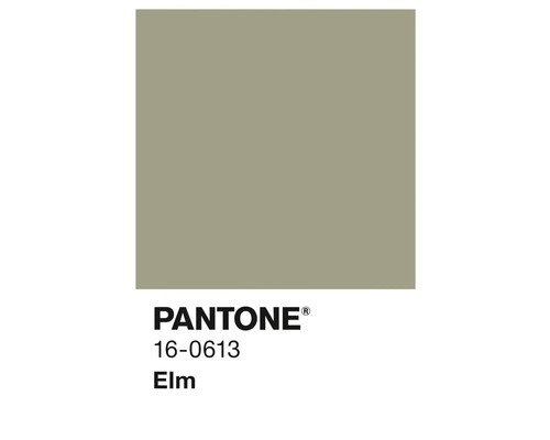 Pantone Farbe 16-0613 Elm