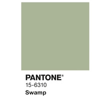 Pantone Farbe 15-6310 Swamp
