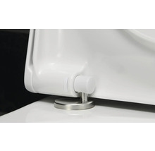 Detailansicht eines WC-Sitzes mit Edelstahlscharnier