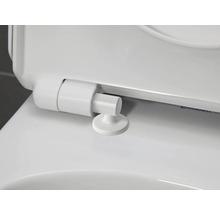 Detailansicht eines weißen Toilettendeckels mit Befestigung