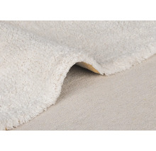 Detailansicht eines Teppichs mit hohem Flor