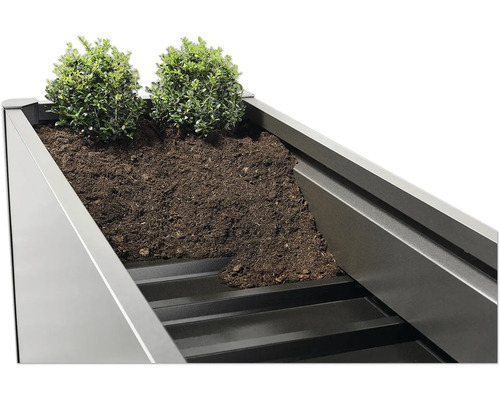 Blick in einen Pflanzkasten mit Erde und zwei kleinen Büschen.