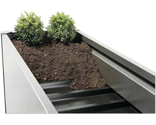 Detailansicht eines bepflanzten Blumenkastens mit Erde und Pflanzen