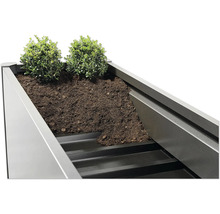 Detailaufnahme eines bepflanzten Hochbeets mit Erde und Pflanzen