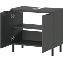 Waschbeckenunterschrank mit zwei Türen und zwei Regalböden