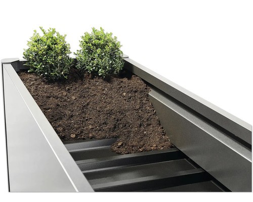 Detailansicht eines Hochbeets mit Erde und Bepflanzung