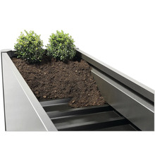 Detailaufnahme eines Hochbeets mit Erde und Pflanzen.