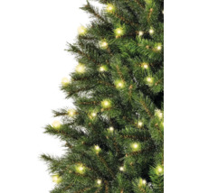 Detailansicht eines geschmückten Weihnachtsbaums mit Lichtern