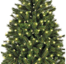 Geschmückter Weihnachtsbaum mit Lichtern