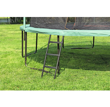 Trampolin mit Leiter im Garten.