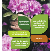 Informationen zur Pflanzerde: maßgeschneidert für optimales Pflanzenwachstum, gebrauchsfertig gedüngt mit allen wichtigen Nährstoffen, pH-optimierte Erde für alle Moorbeetpflanzen, auch für Hortensien, Azaleen, Eriken und Heidelbeeren, torffrei.