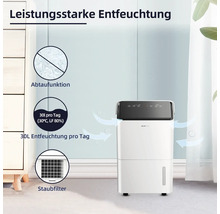 Weißer Luftentfeuchter mit Abtaufunktion, 30 Liter Entfeuchtungsleistung pro Tag und Staubfilter