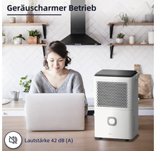 Raumentfeuchter im Wohnraum mit Frau am Laptop