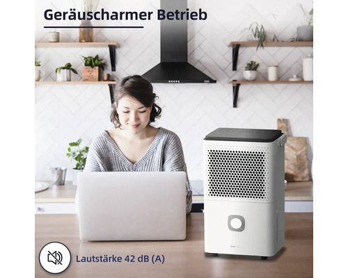 Raumentfeuchter im Wohnraum mit Frau am Laptop