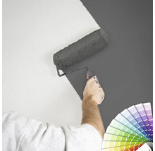 "Eine Person streicht eine Wand mit einer Farbrolle