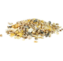 Haufen verschiedener Getreidekörner und Sonnenblumenkerne