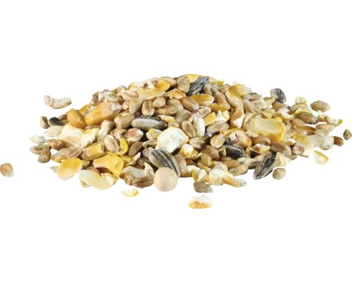 Haufen verschiedener Getreidekörner und Sonnenblumenkerne