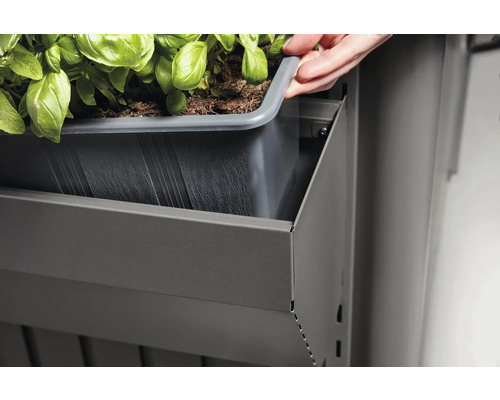 Hochbeet mit Einsatzkasten und Kräutern