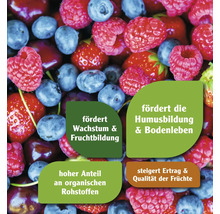 Produktbild mit Hinweisen zu Wachstum, Humusbildung, organischen Rohstoffen sowie Ertrags- und Qualitätssteigerung.