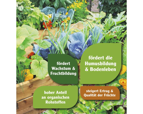 Gemüsegarten mit Hinweisen zu Wachstumsförderung, Humusbildung und Qualität der Früchte
