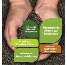 Pflanzenkohle in Händen mit Hinweisen zu verbesserter Nährstoffverfügbarkeit, Förderung des Bodenlebens, Wurzelwachstums, verbesserter Wasserspeicherung und langfristig verbesserter Gartenböden.