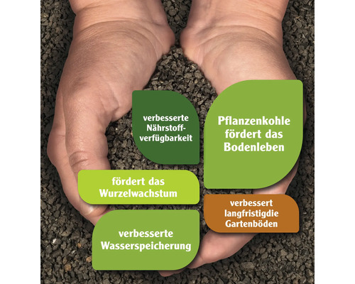 Pflanzenkohle in Händen mit Hinweisen zu verbesserter Nährstoffverfügbarkeit, Förderung des Bodenlebens, Wurzelwachstums, verbesserter Wasserspeicherung und langfristig verbesserter Gartenböden.